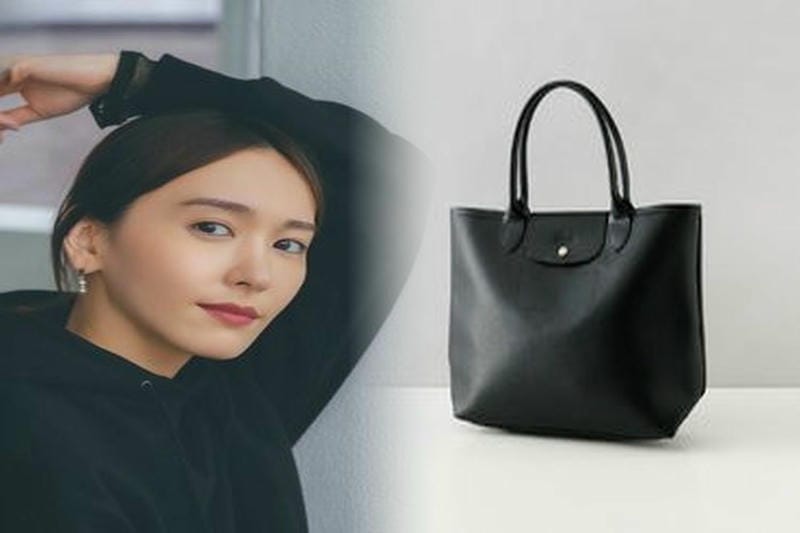 バッグ イン バッグ ロンシャン