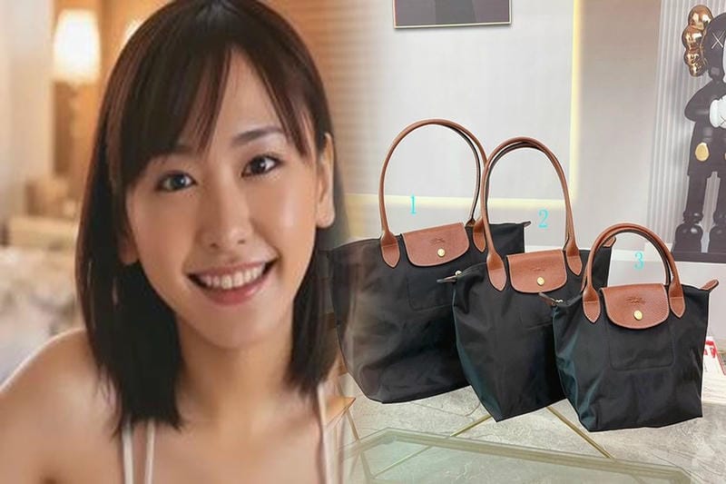 ロンシャン トート ミニ