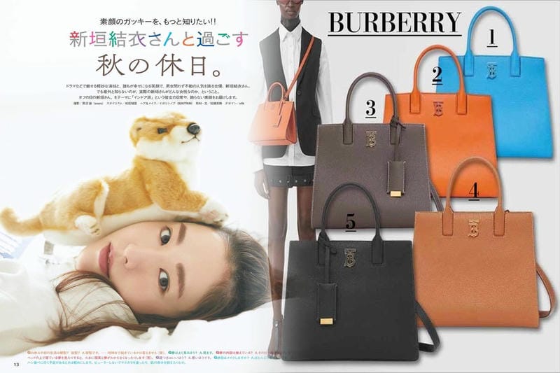 タイガのアントンブリーフケースでビジネスシーンに輝きを