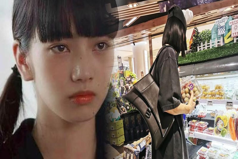 ペーパークラフト 千 と 千尋 の 神隠し