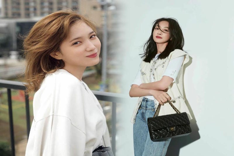 シャネル株式会社とシャネル合同会社の違いは何ですか？