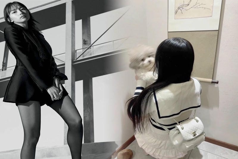 シャネル 2017 クルーズ バッグ