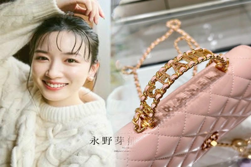 シャネル 2017 クルーズ バッグ