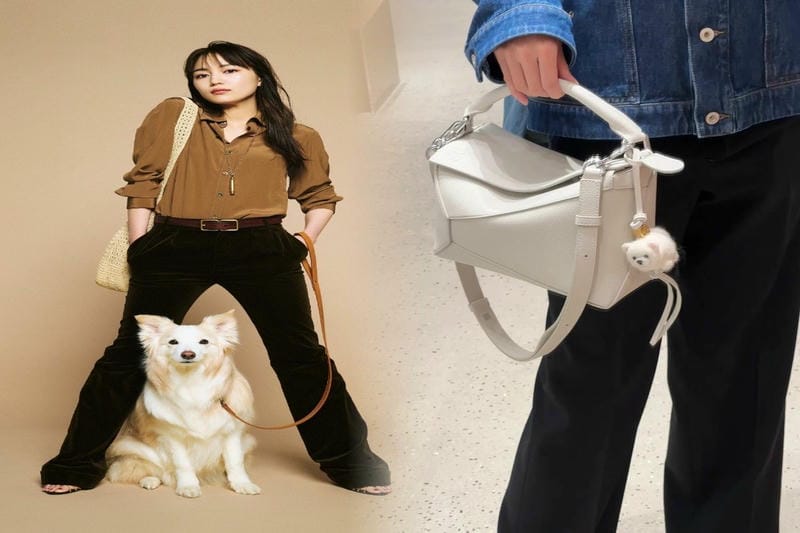 メンズ向けロエベバッグ特集｜おすすめアイテムを厳選紹介