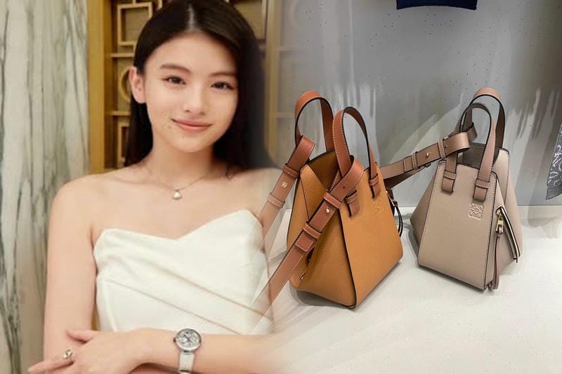 LOEWEバッグの人気デザインの歴史