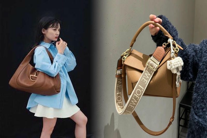 世界中のセレブリティが愛用するロエベの定番バッグ