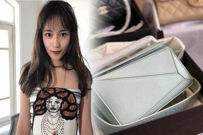 しまむらで見つけた！コスパ重視のロエベ風バッグを紹介