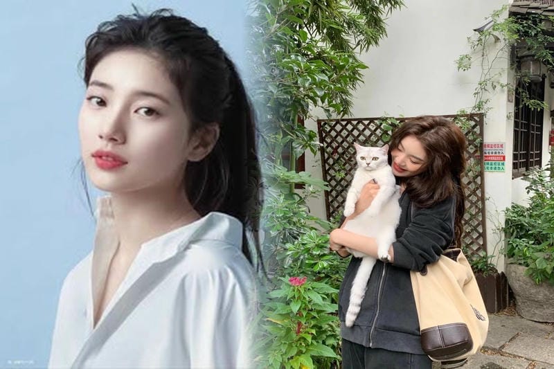 ロエベ バッグ アマソナの魅力と使い方を紹介