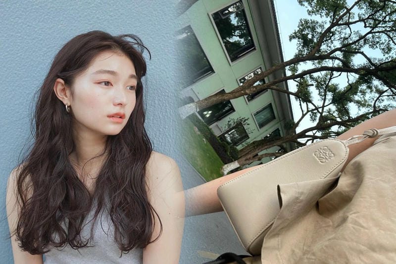 ロエベ 名刺 入れ