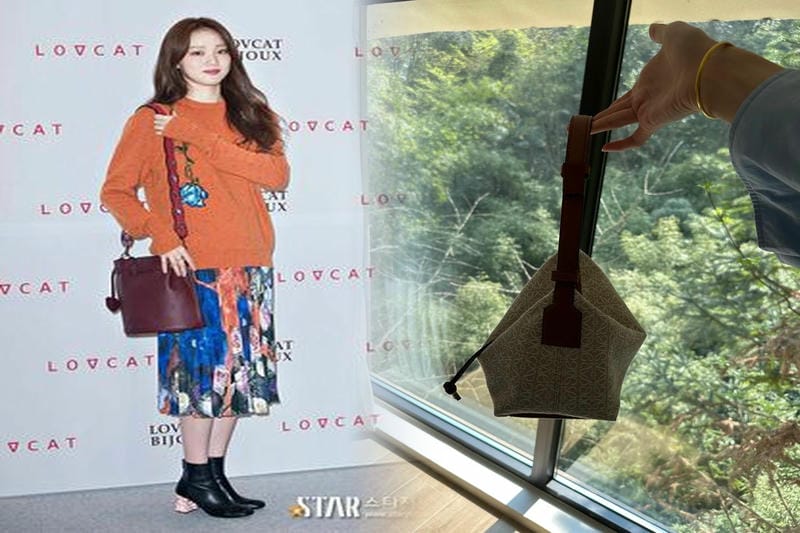 LOEWE シアリングバニーチャーム 2色