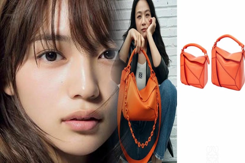 LOEWEバッグの異素材ミックス