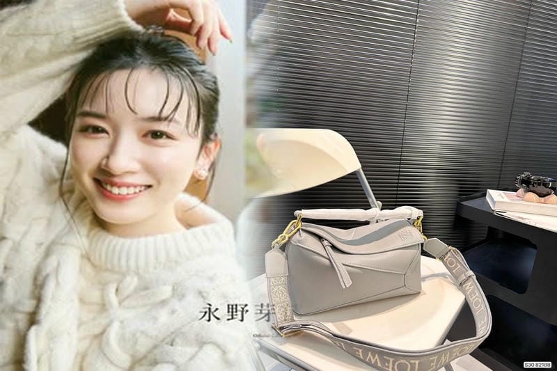 ロエベバッグ実用性と人気理由を徹底分析｜ファン必見のデータ特集