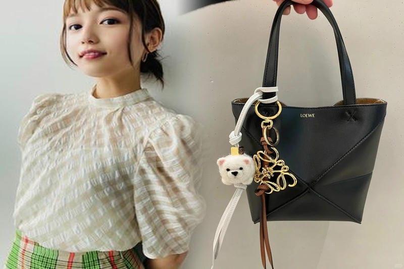 どれを選ぶ？LOEWEの「アマソナ」シリーズ徹底紹介