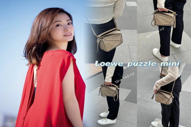 ロエベパズルバッグのデメリットまとめ