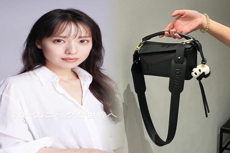 ロエベパズルバッグサイズ比較