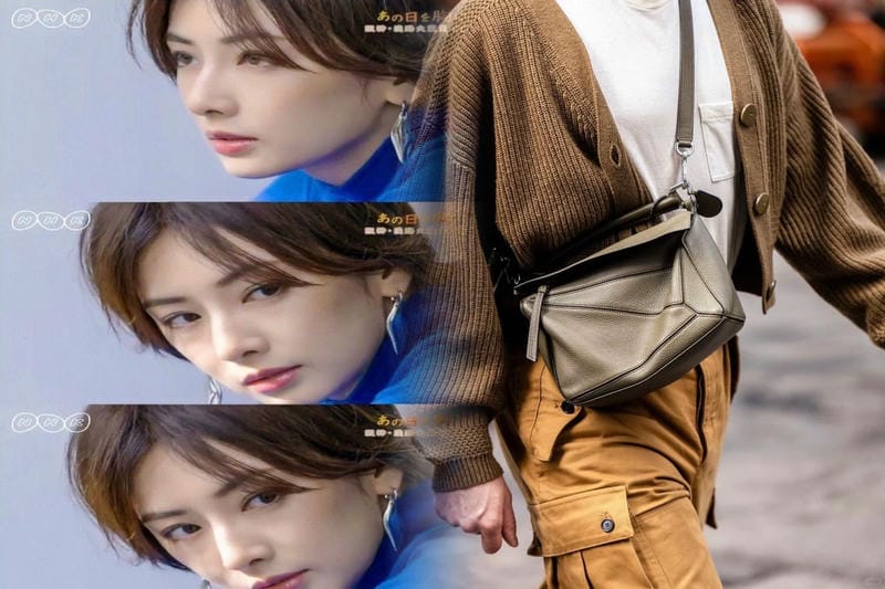 おしゃれ芸能人も愛用するロエベバッグ