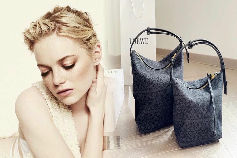 世界のセレブも愛用するロエベバッグ特集