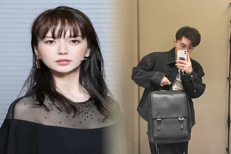 LOEWEバッグの異素材ミックス