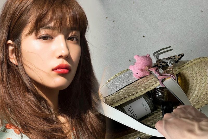 ミニサイズのロエベショルダーバッグ