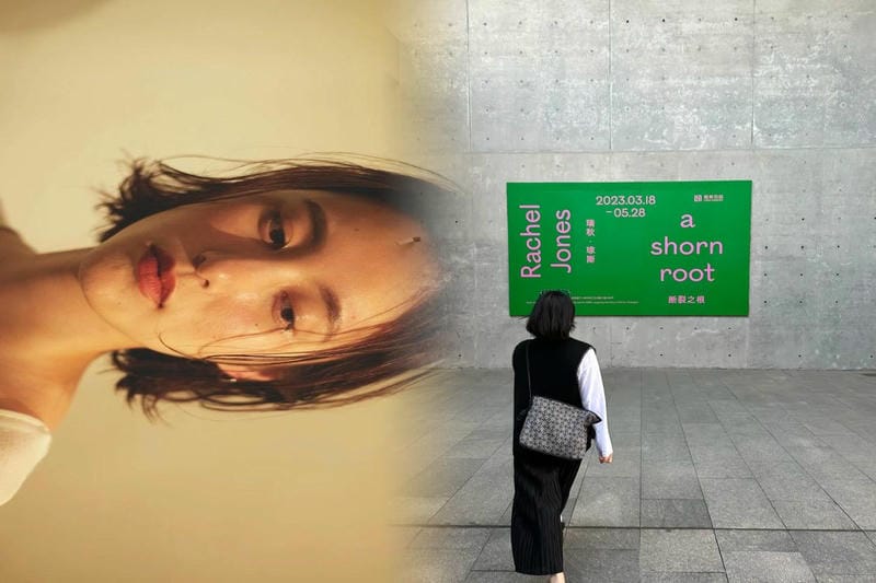 おしゃれなロエベかごバッグ、素材ごとの特徴