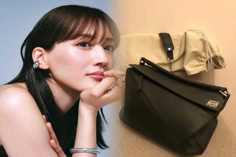 ミニサイズのロエベショルダーバッグ