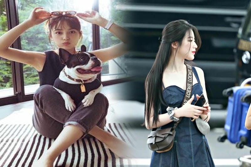 ロエベ ハンモック 人気色ランキング2024とおすすめカラー