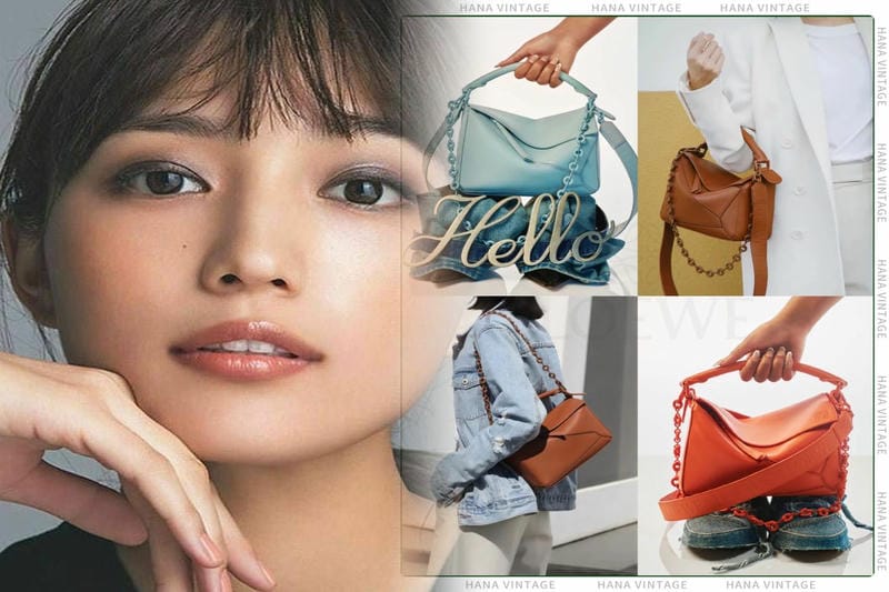 ロエベ風バッグ ショルダー生成