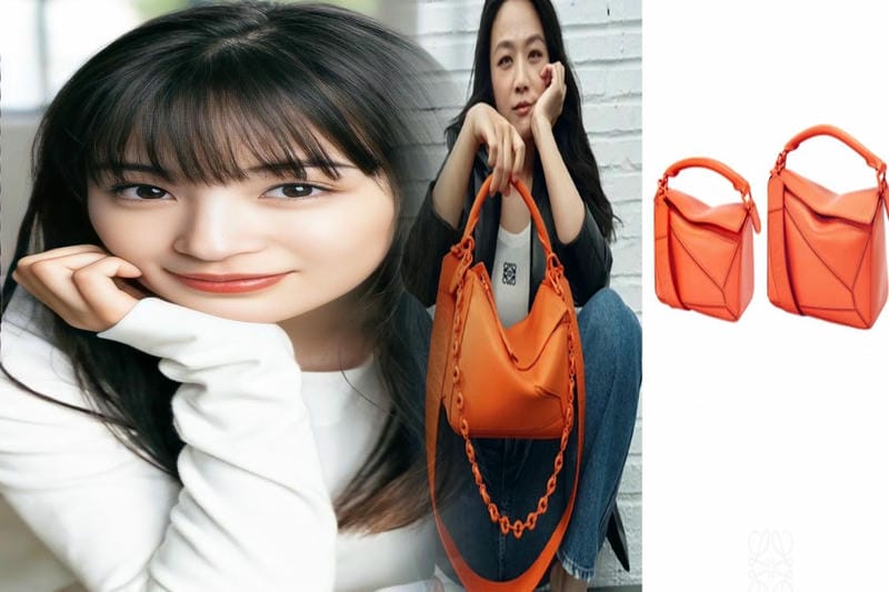 ロエベ バッグ何歳くらい？