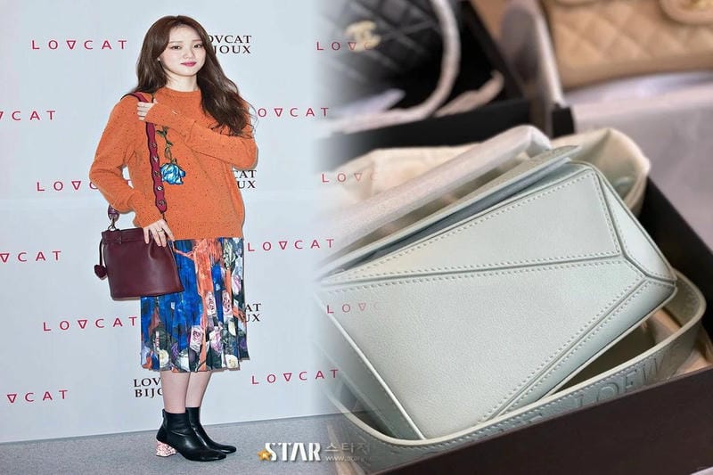 ロエベバッグの人気デザインの歴史