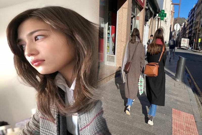 どれを選ぶ？LOEWEの「アマソナ」シリーズ徹底紹介