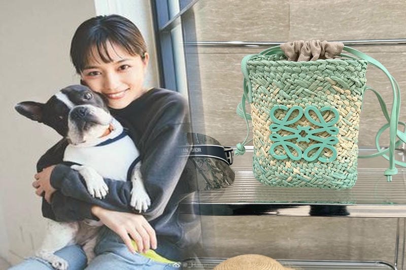 LOEWEバッグの人気デザインの歴史