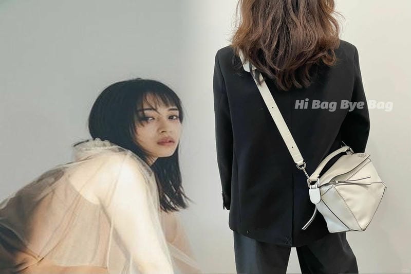 人気YouTuberが選ぶLOEWEのバッグ