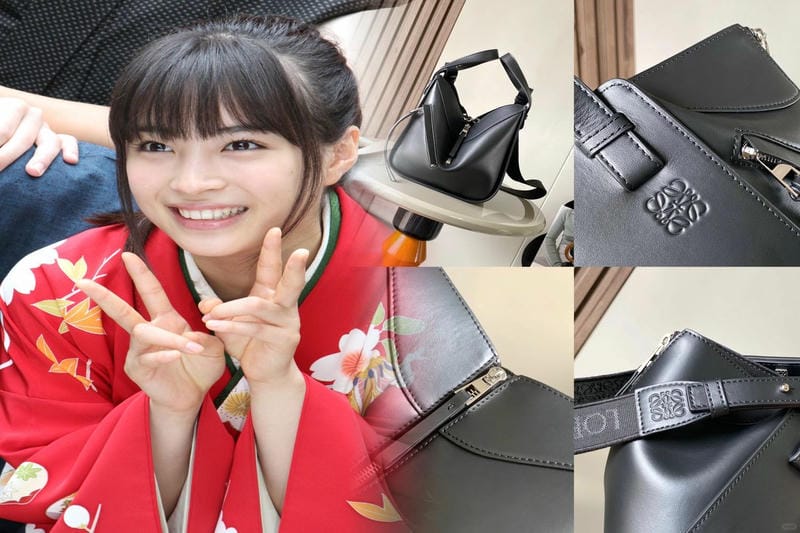 ロエベの「アナグラム」バッグ：魅力と特長を解説