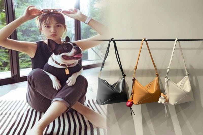 新垣結衣愛用のロエベ バッグ同款を手に入れよう