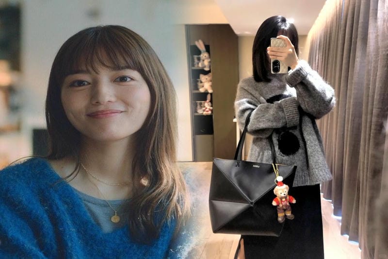 おしゃれ芸能人も愛用するロエベバッグ