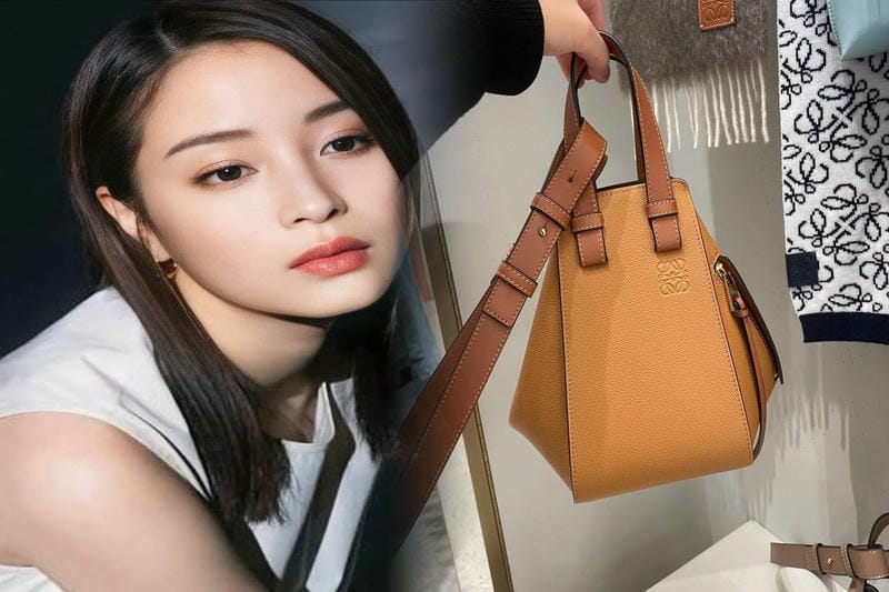 ロエベ キャンバス地の魅力とおすすめアイテム2024