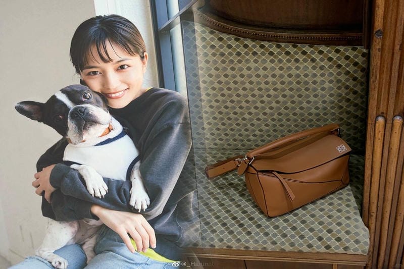 ロエベバッグ実用性と人気理由を徹底分析｜ファン必見のデータ特集