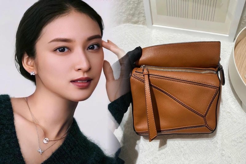 人気インフルエンサーが選ぶLOEWEバッグ5選