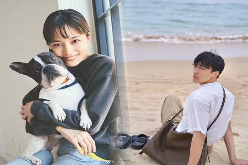 小池栄子愛用のロエベ バッグ同款、人気モデル特集