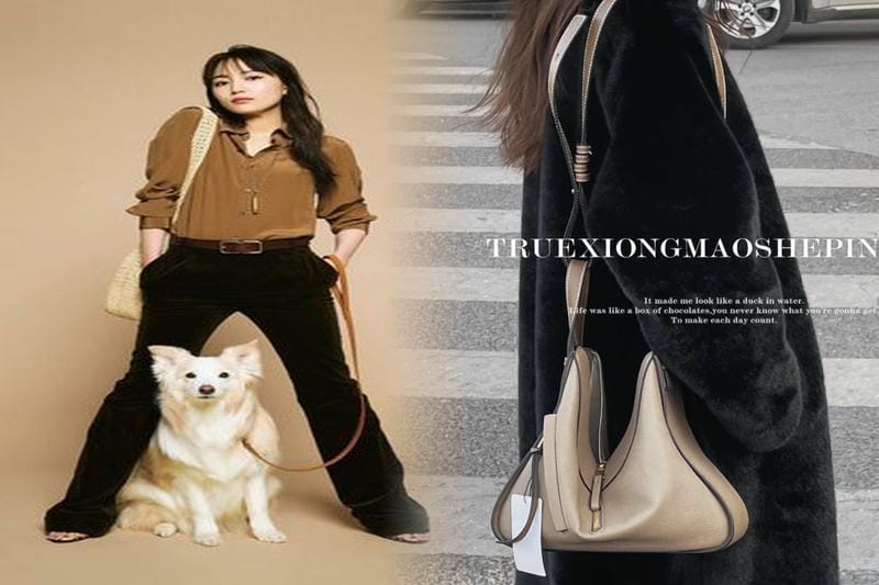 ロエベバッグはハイブランドですか？