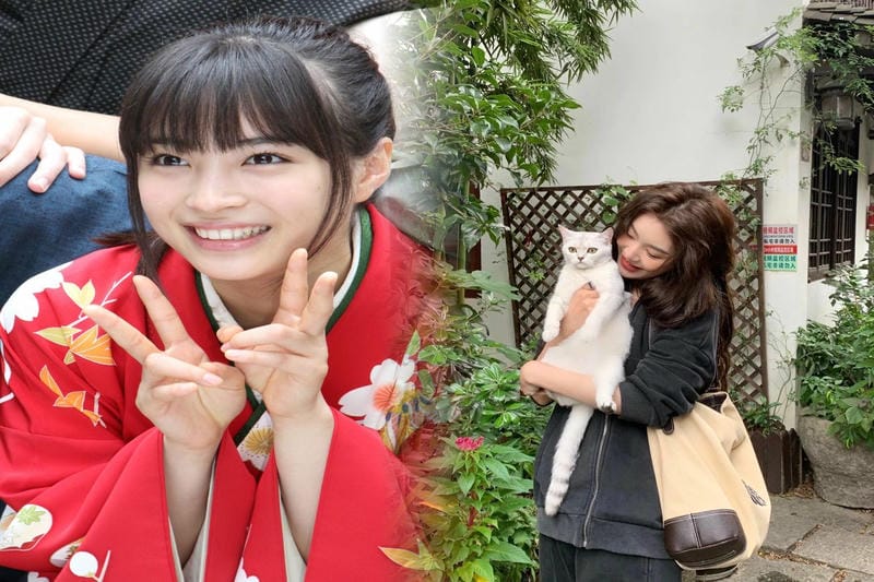 ロエベ パズル 使い にくい