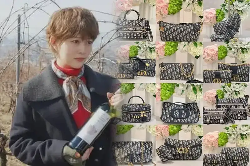 世界限定 DIOR30 ディオール モンターニュショルダーバック