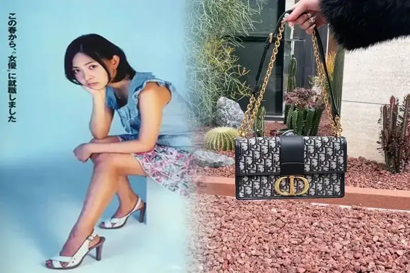 dior ブック トート ミニ