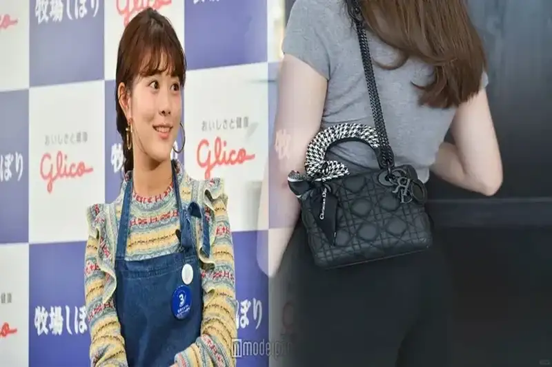 dior ブック トート スモール