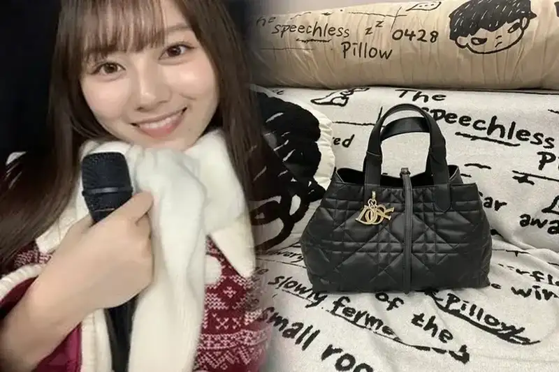 【最新で絶対欲しい】DIOR☆BOOK TOTE エトワール エンブロイダリー(Large)