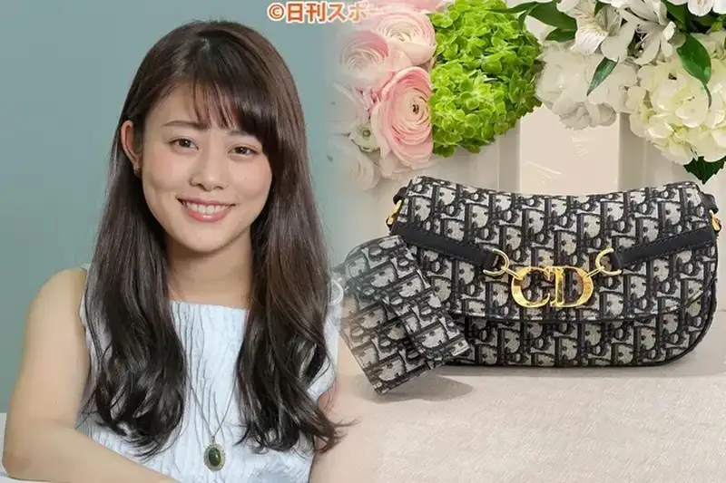 ディオール バッグ 新作 2017