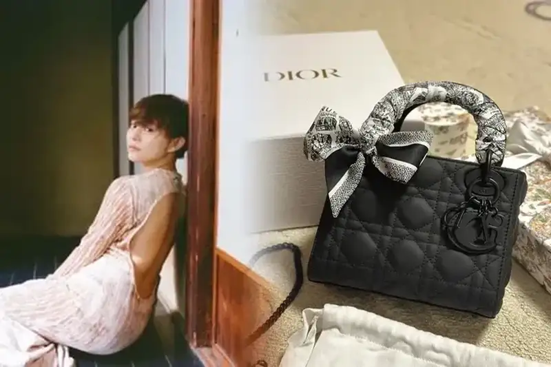 2024年最新！ディオール「Lady Dior」バッグの全カラー解説