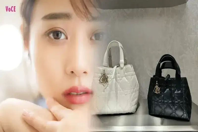 レディ・ディオール何年？