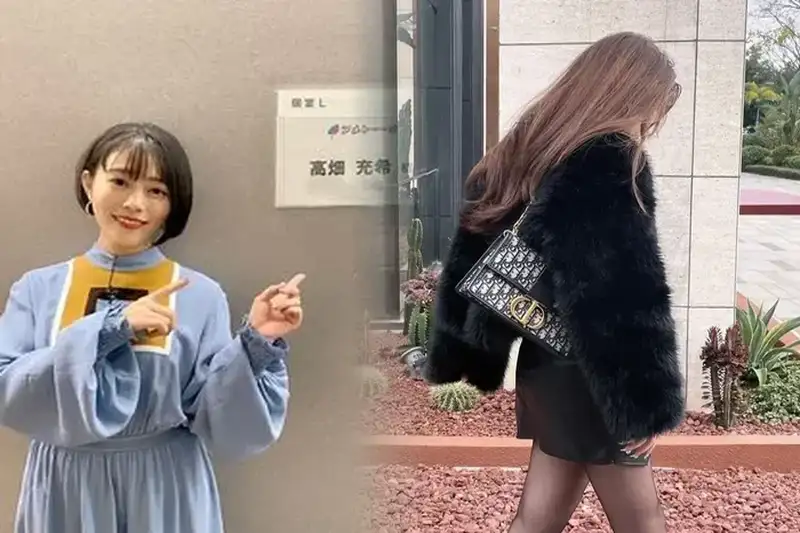 dior ブックトート 似てる