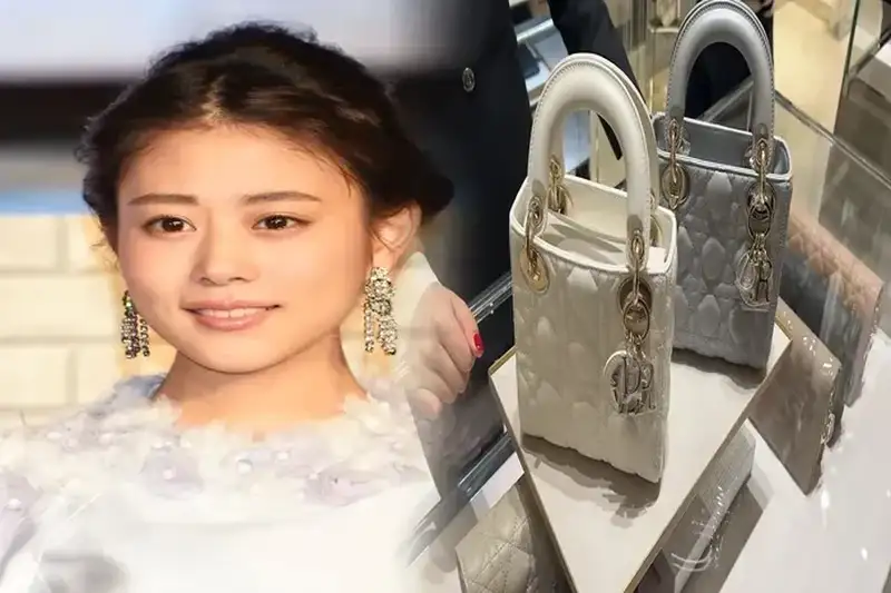 DIOR BOOK TOTE ディオール オブリーク スモールバッグ 2020New